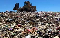 coffee pods in landfill