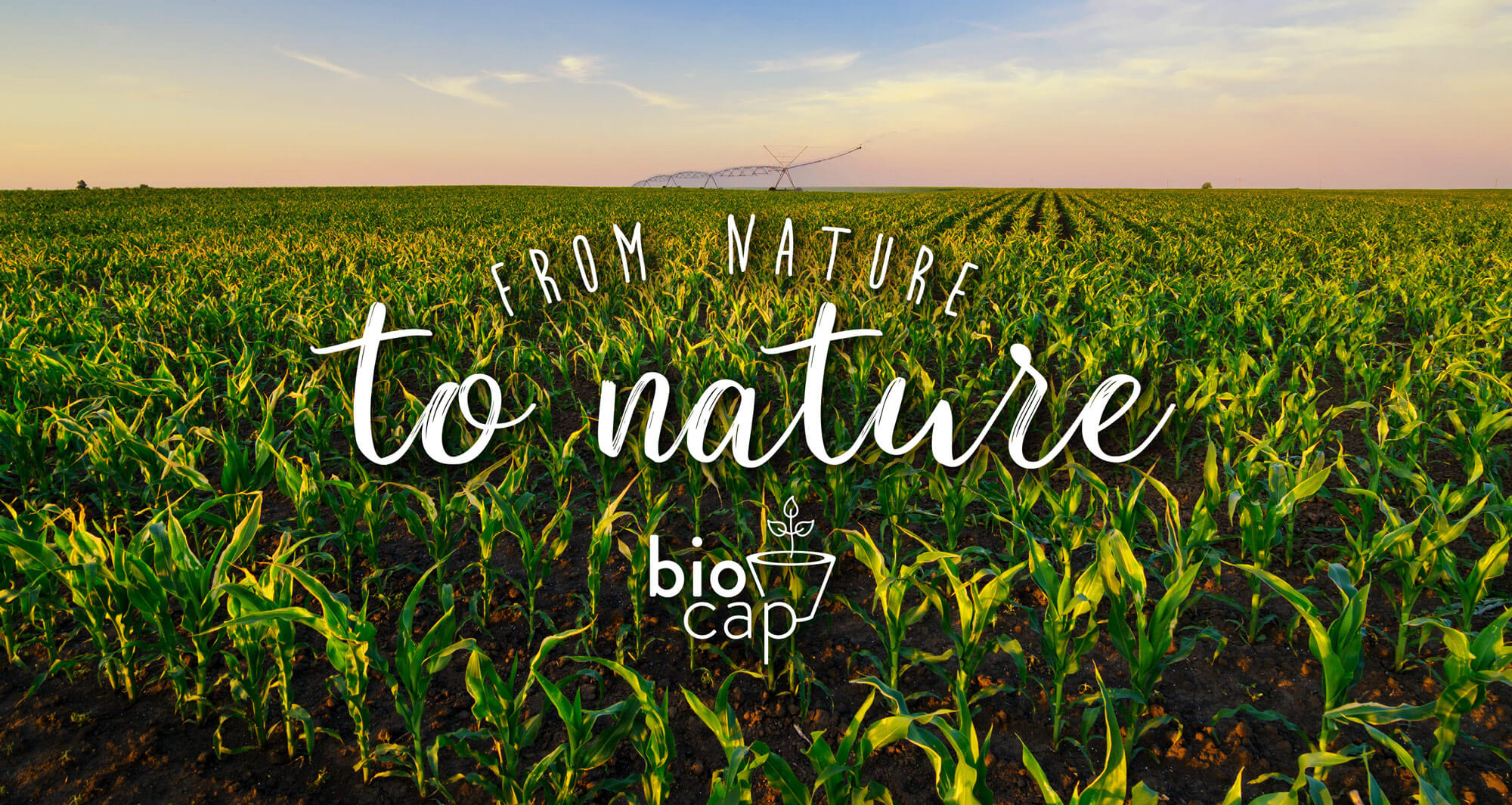 100 Biobased Biodegradable & Compostable Capsules